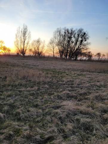 Działka Sprzedaż Stepnica 5