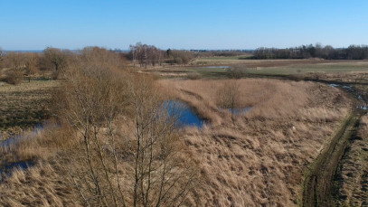 Działka Sprzedaż Szczecin Skolwin