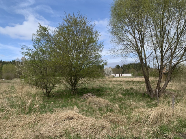 Działka Sprzedaż Dołuje 1