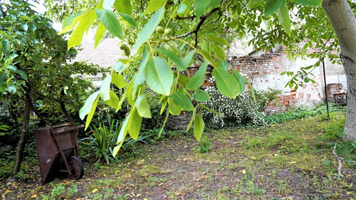 Mieszkanie Sprzedaż Dębno Tadeusza Kościuszki 13