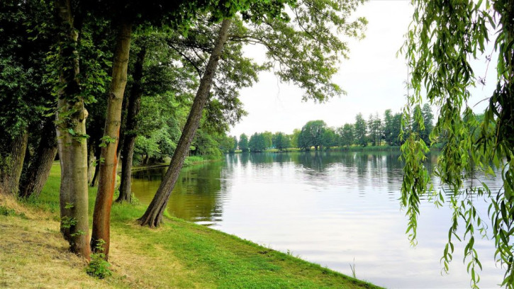 Mieszkanie Sprzedaż Dębno Tadeusza Kościuszki 15