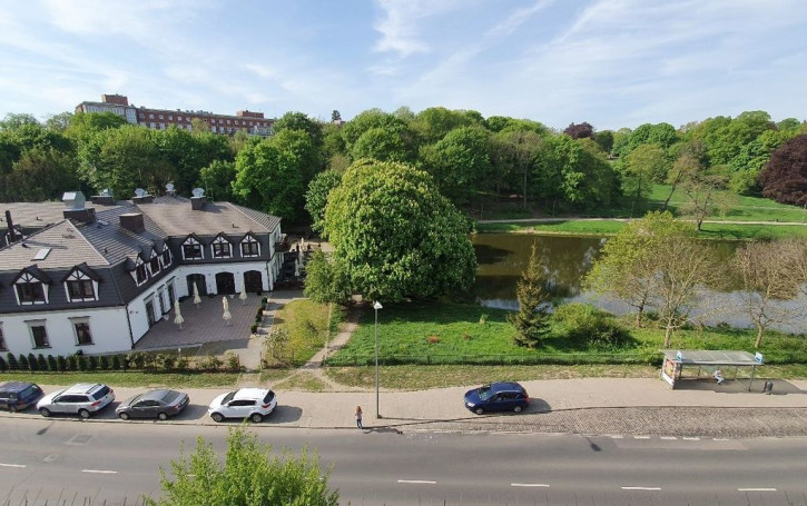 Mieszkanie Wynajem Szczecin Niebuszewo Juliusza Słowackiego 18