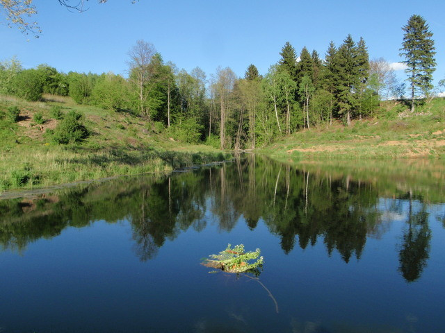 Działka Sprzedaż Bobolice 7