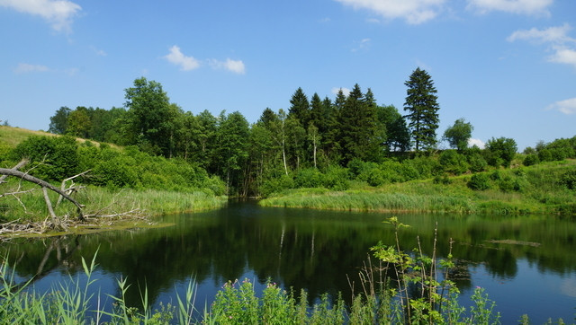 Działka Sprzedaż Bobolice 16