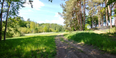 Działka Sprzedaż Szczecin Płonia
