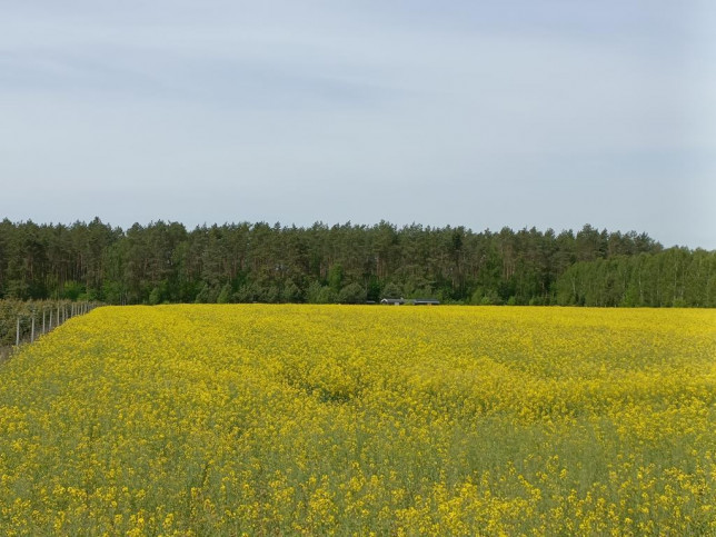 Działka Sprzedaż Stawno 7