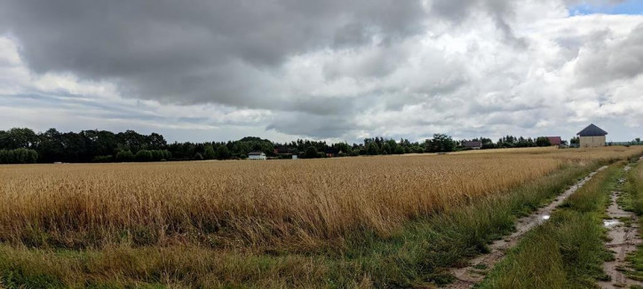 Działka Sprzedaż Tucze 8
