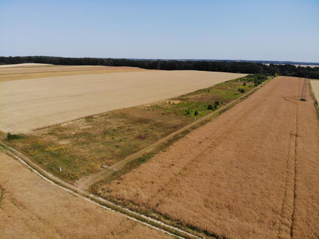 Działka Sprzedaż Tucze 2