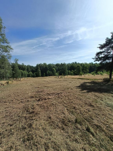 Działka Sprzedaż Krzywice 6