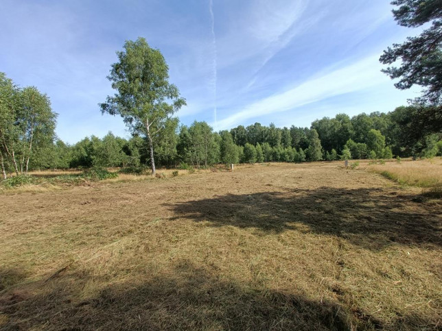 Działka Sprzedaż Krzywice 12