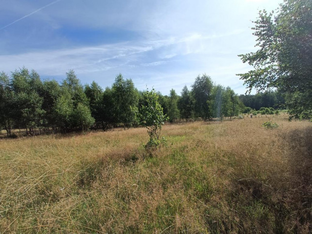 Działka Sprzedaż Krzywice 13