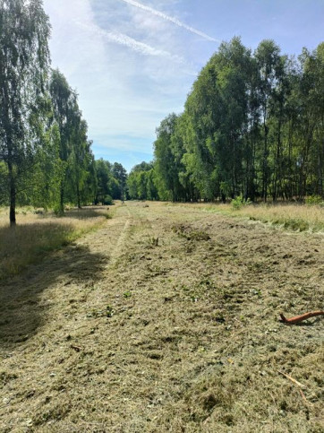 Działka Sprzedaż Krzywice 5