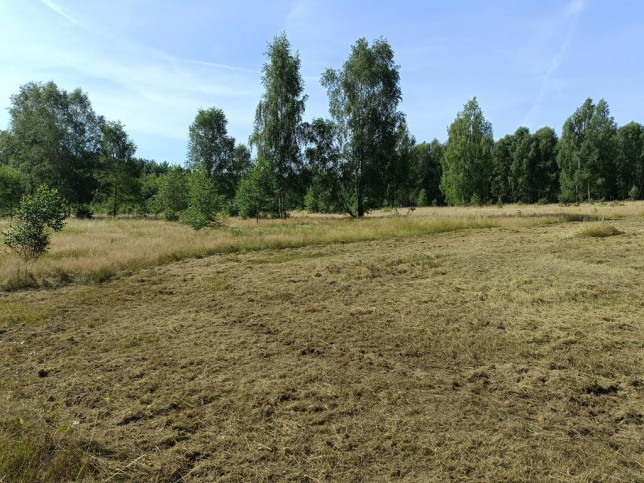 Działka Sprzedaż Krzywice 14