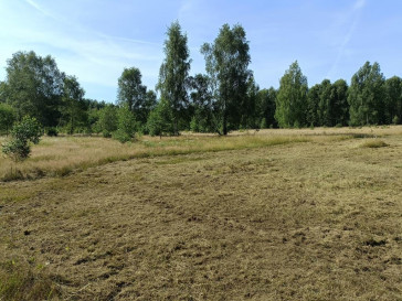 Działka Sprzedaż Krzywice