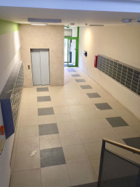 Mieszkanie Wynajem Szczecin Śródmieście-Centrum Potulicka