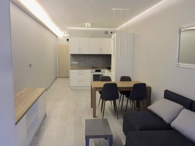Mieszkanie Wynajem Szczecin Śródmieście-Centrum Potulicka 1