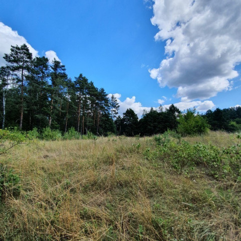 Działka Sprzedaż Stare Osieczno 7