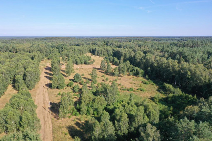 Działka Sprzedaż Krzywice 2