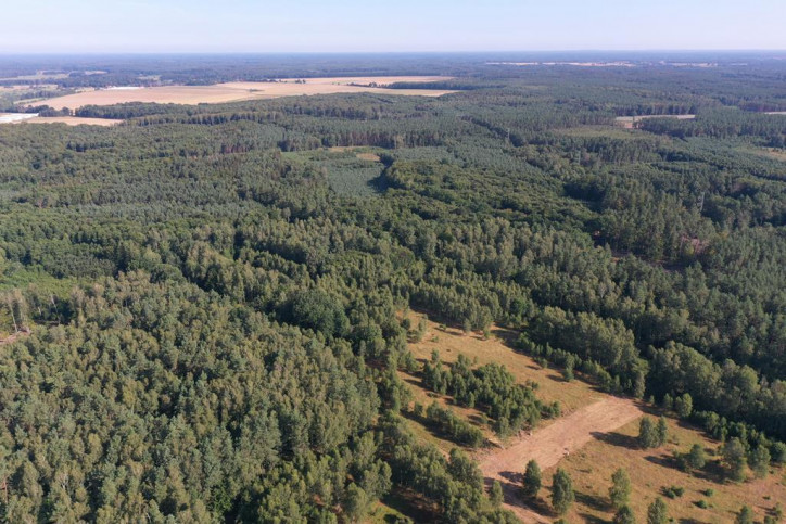 Działka Sprzedaż Krzywice 3