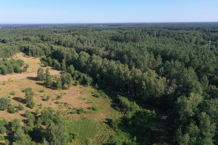 Działka Sprzedaż Krzywice 4