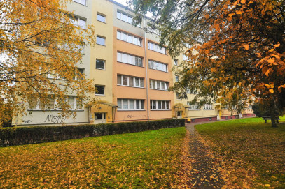 Mieszkanie Wynajem Szczecin Niebuszewo Kazimierza Królewicza