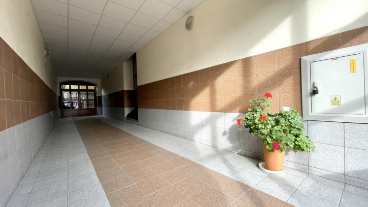 Lokal Wynajem Szczecin Centrum 9