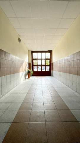 Lokal Wynajem Szczecin Centrum 22