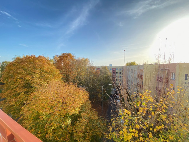 Mieszkanie Sprzedaż Szczecin Niebuszewo 24