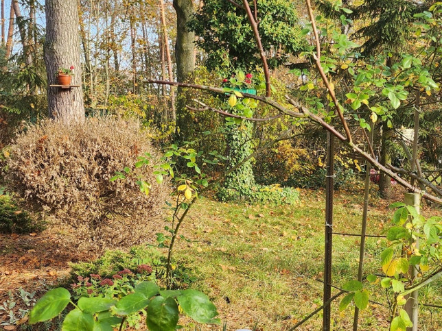 Mieszkanie Sprzedaż Police Janusza Korczaka 10