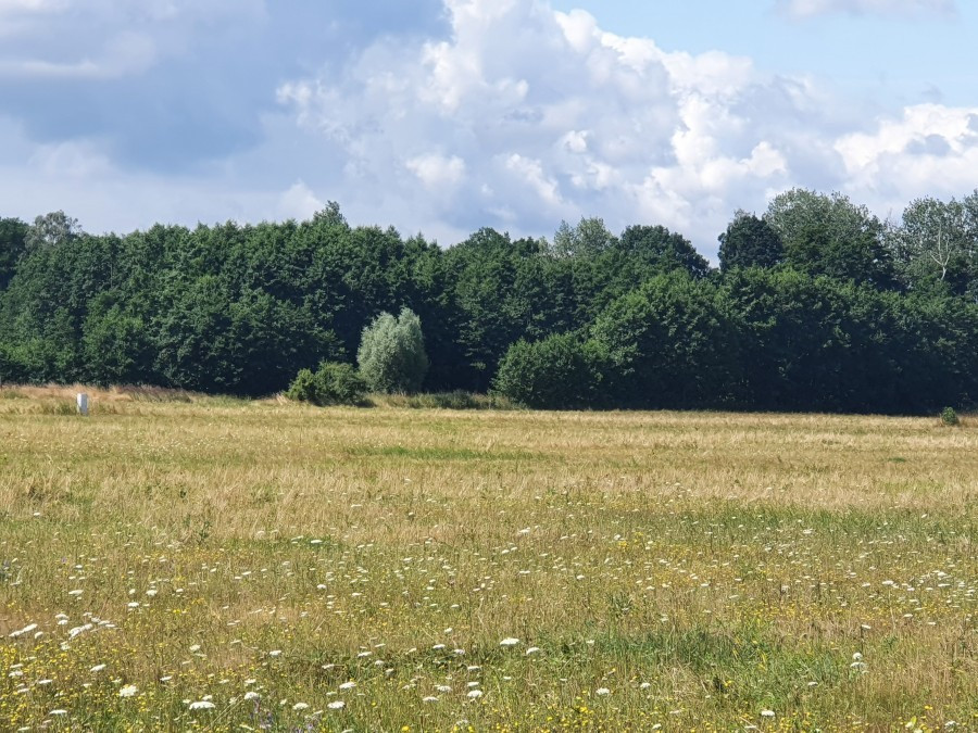 Działka Sprzedaż Szczecin Skolwin