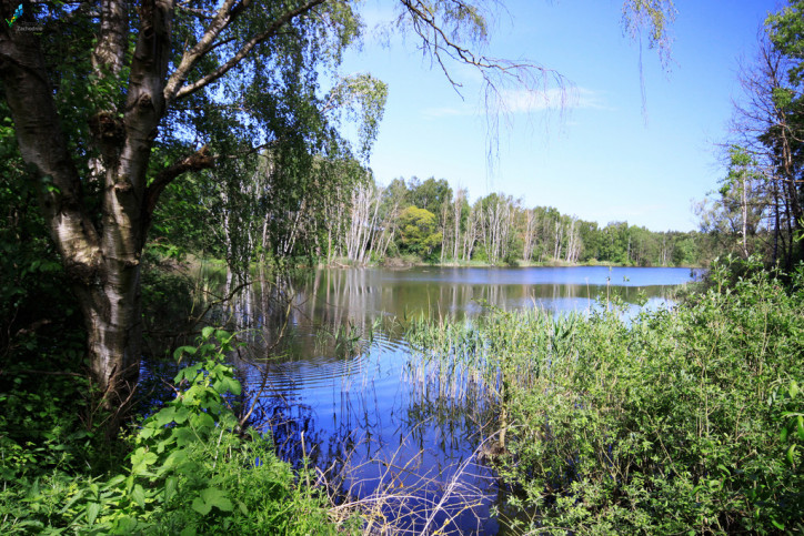 Działka Sprzedaż Bartoszewo 6