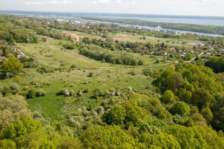 Działka Sprzedaż Szczecin Bukowo 4