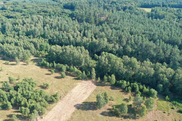 Działka Sprzedaż Krzywice 3