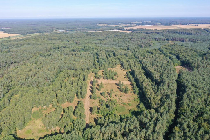 Działka Sprzedaż Krzywice 2