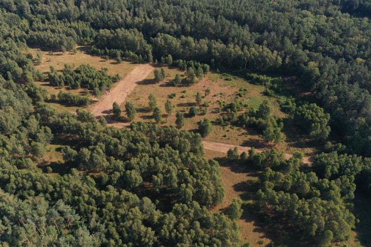 Działka Sprzedaż Krzywice 4