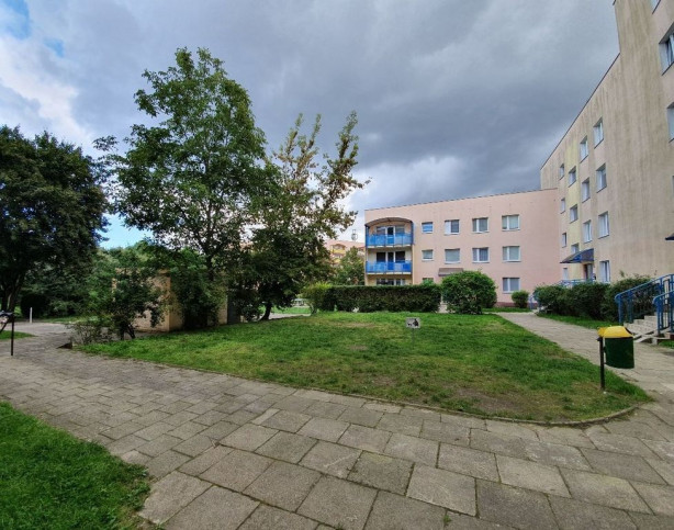 Mieszkanie Wynajem Szczecin os. Arkońskie Wiosny Ludów 14
