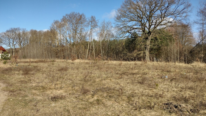Działka Sprzedaż Grzepnica Cyrkoniowa 4