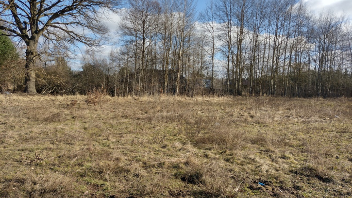 Działka Sprzedaż Grzepnica Cyrkoniowa 5