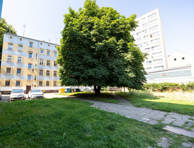 Mieszkanie Sprzedaż Szczecin Śródmieście-Centrum 7