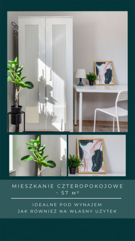 Mieszkanie Sprzedaż Szczecin Śródmieście-Centrum Stanisława Dubois 1
