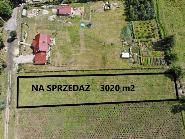 Działka Sprzedaż Krępsko 3