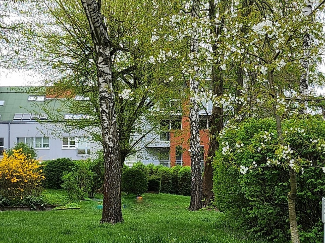 Mieszkanie Sprzedaż Szczecin Jasne Błonia Lutniana 1