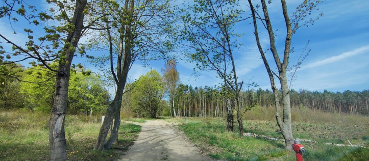 Działka Sprzedaż Goleniów 6