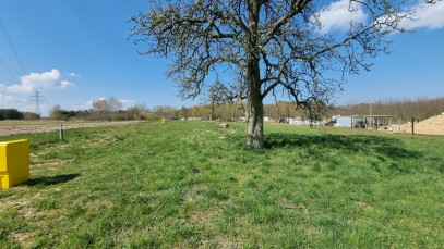 Działka Sprzedaż Szczecin Skolwin