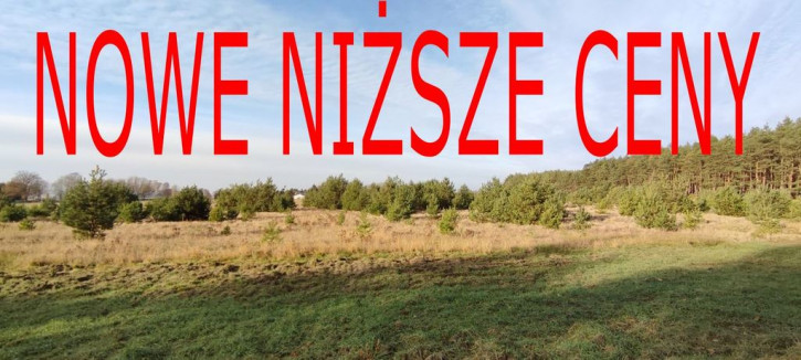 Działka Sprzedaż Komarowo 1