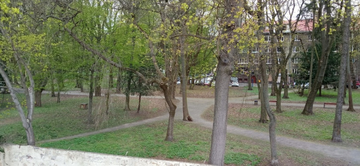 Lokal Wynajem Szczecin Centrum 13