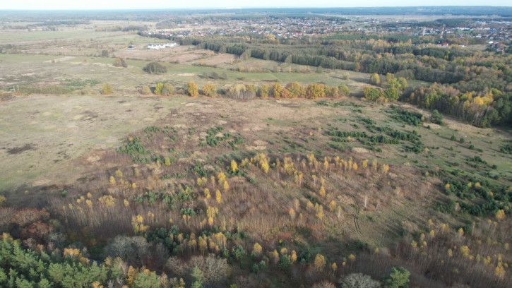 Działka Sprzedaż Buk 1