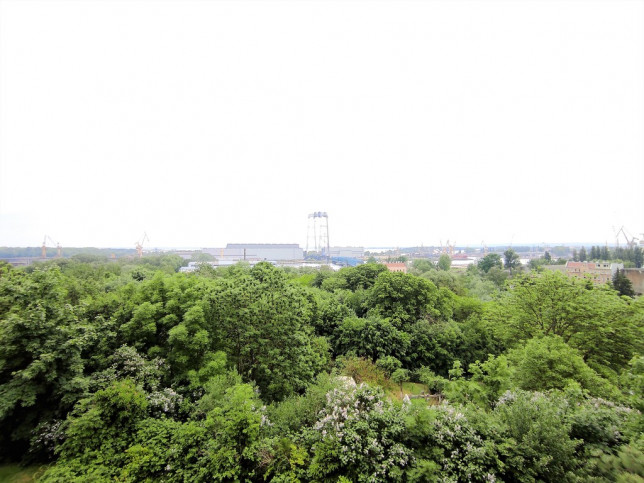 Mieszkanie Wynajem Szczecin Żelechowa Grzymińska 10