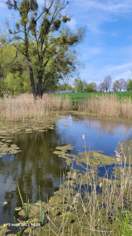 Działka Sprzedaż Zieleniewo 3