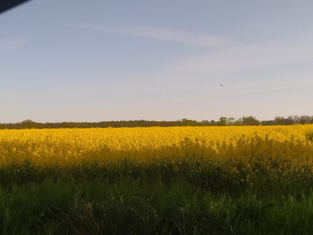 Działka Sprzedaż Bielkowo Zbożowa 1